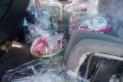 IMG-20231030-WA0013