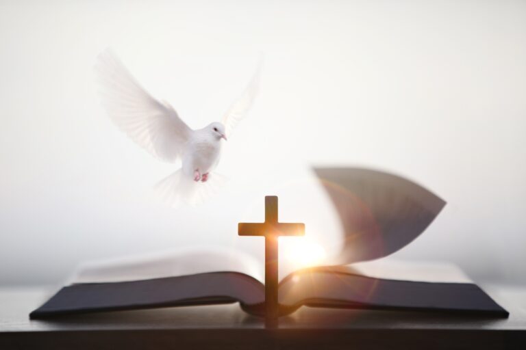 The,Cross,Of,Jesus,Christ's,Suffering,And,The,Bible,Of